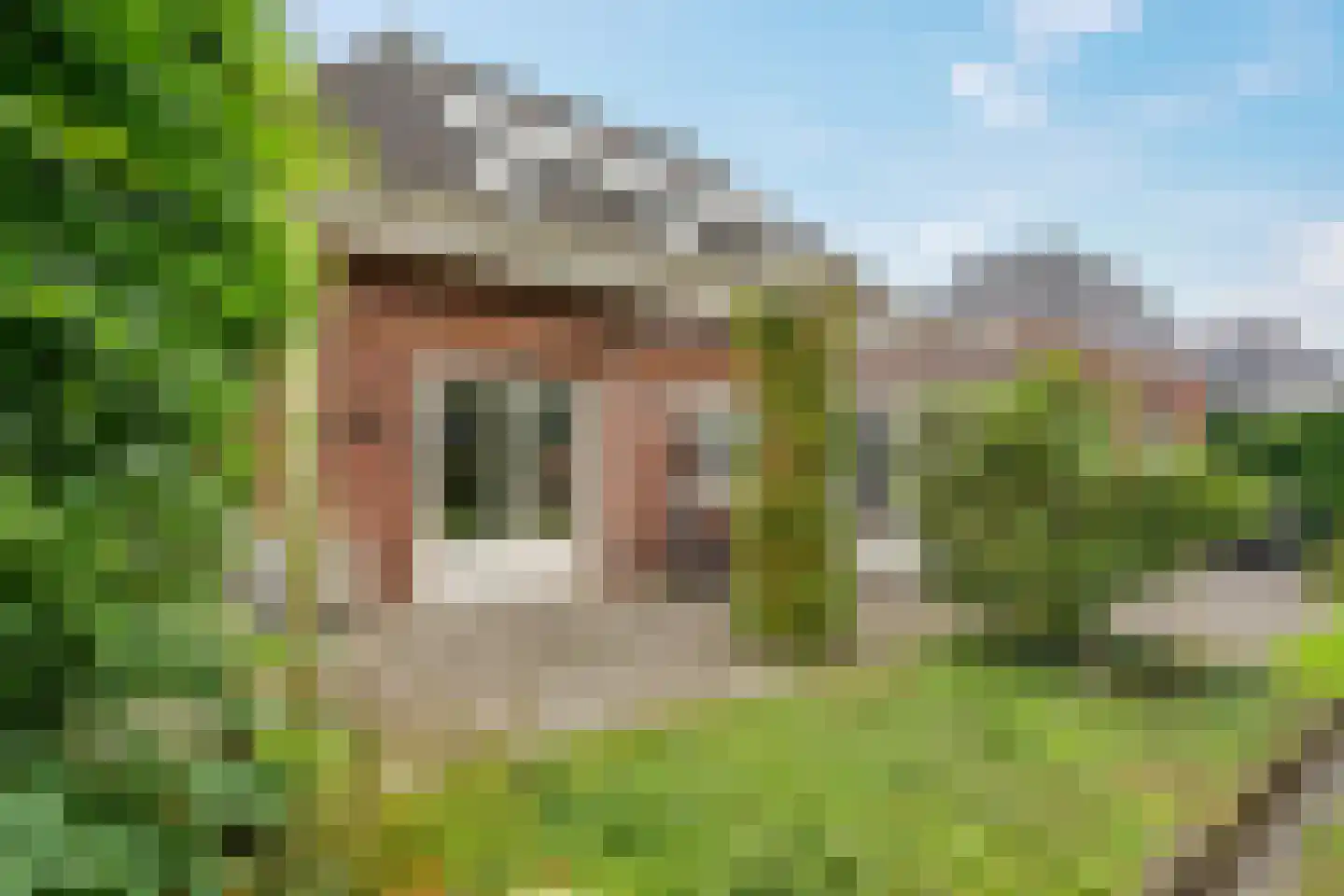 Mariënwold 65 Steenwijkerwold thumbnail 43