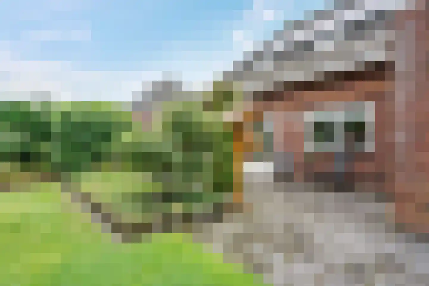 Mariënwold 65 Steenwijkerwold thumbnail 44