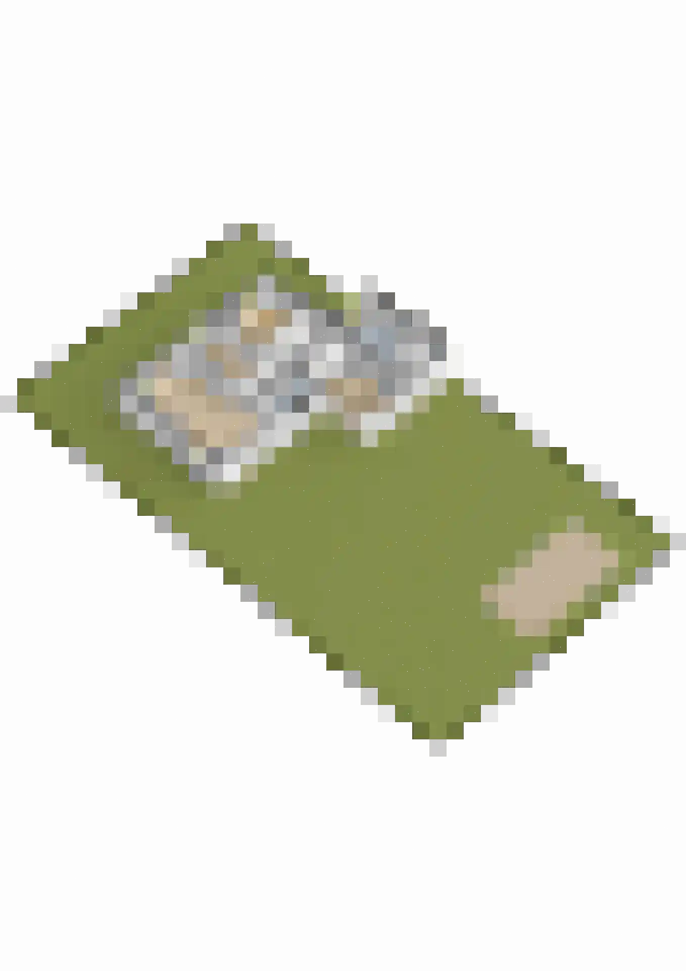 Mariënwold 65 Steenwijkerwold thumbnail 63