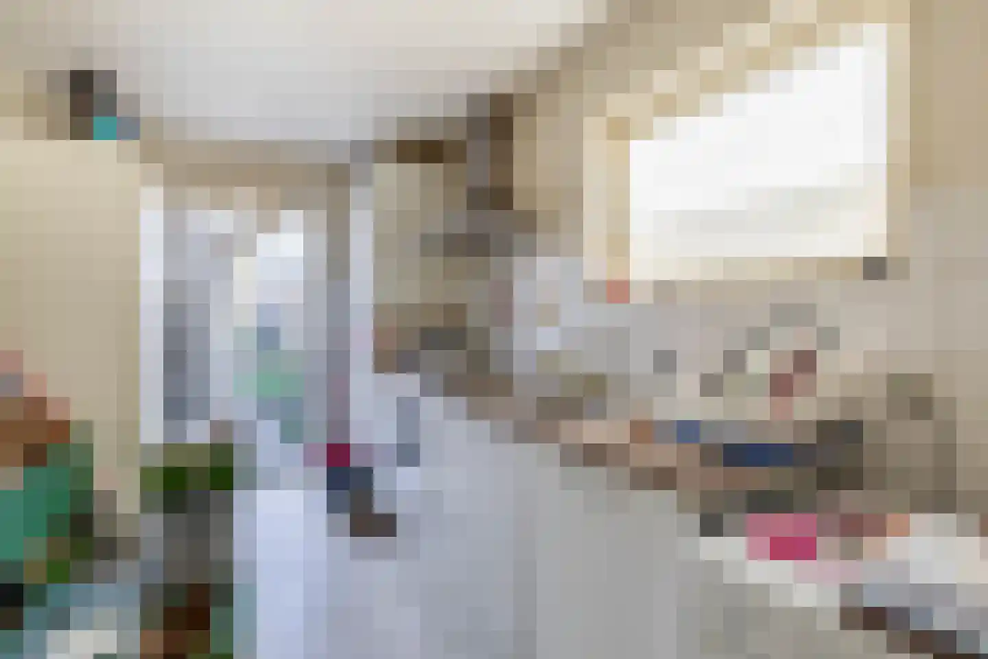 Marietjespad 17 Middelharnis thumbnail 14