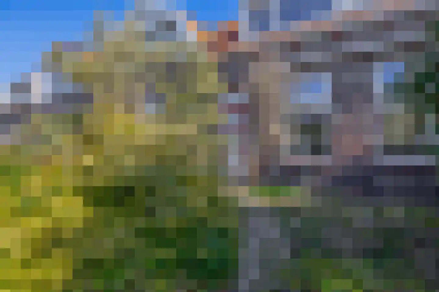 Marietjespad 17 Middelharnis thumbnail 26