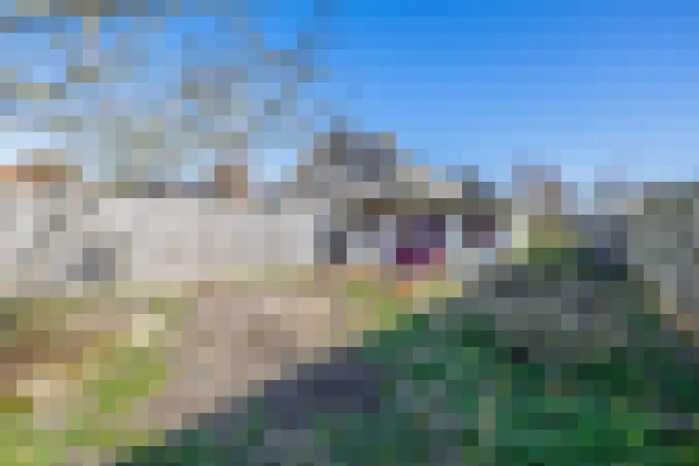 Marietjespad 17 Middelharnis thumbnail 31
