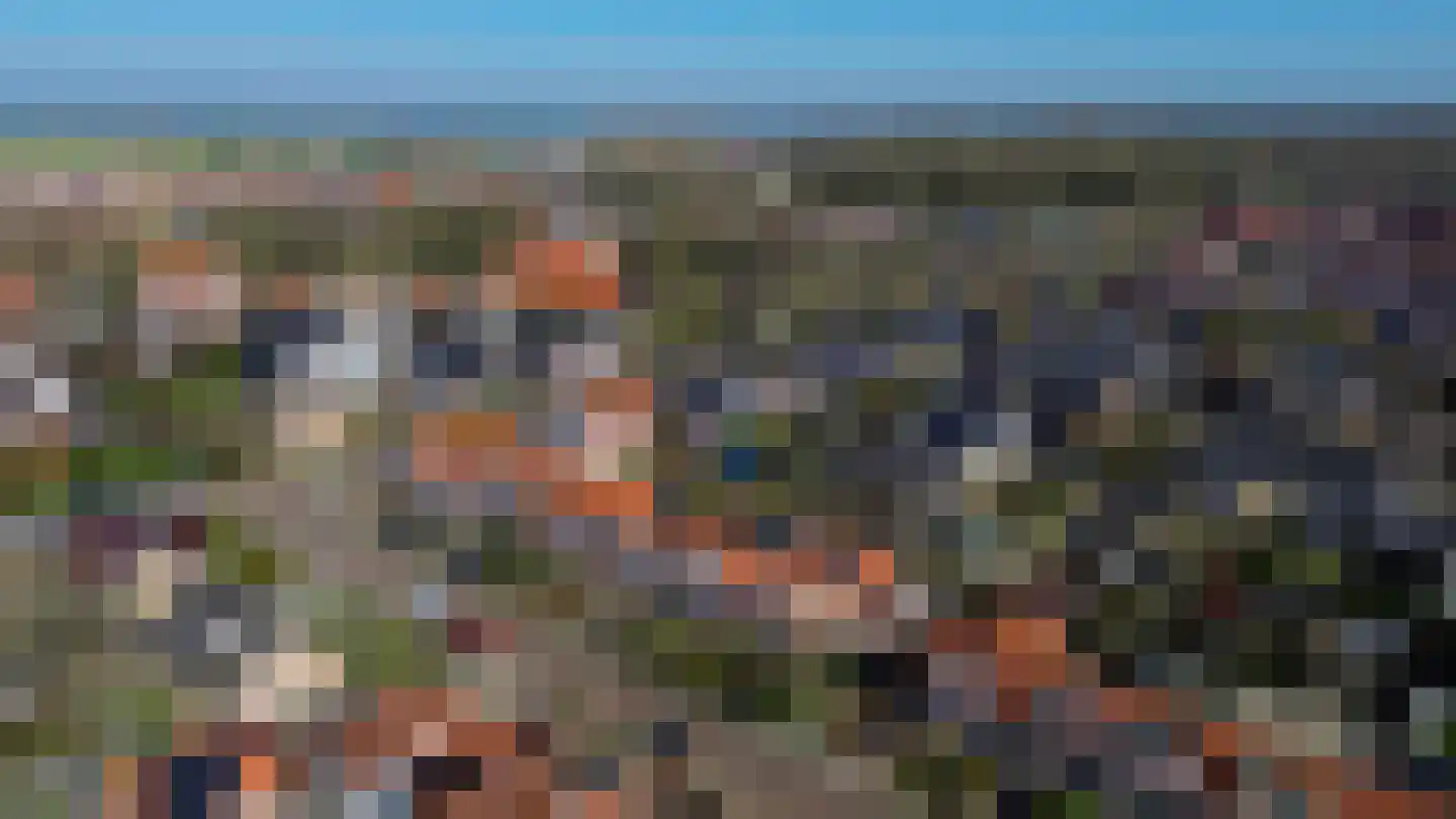 Marietjespad 17 Middelharnis thumbnail 36