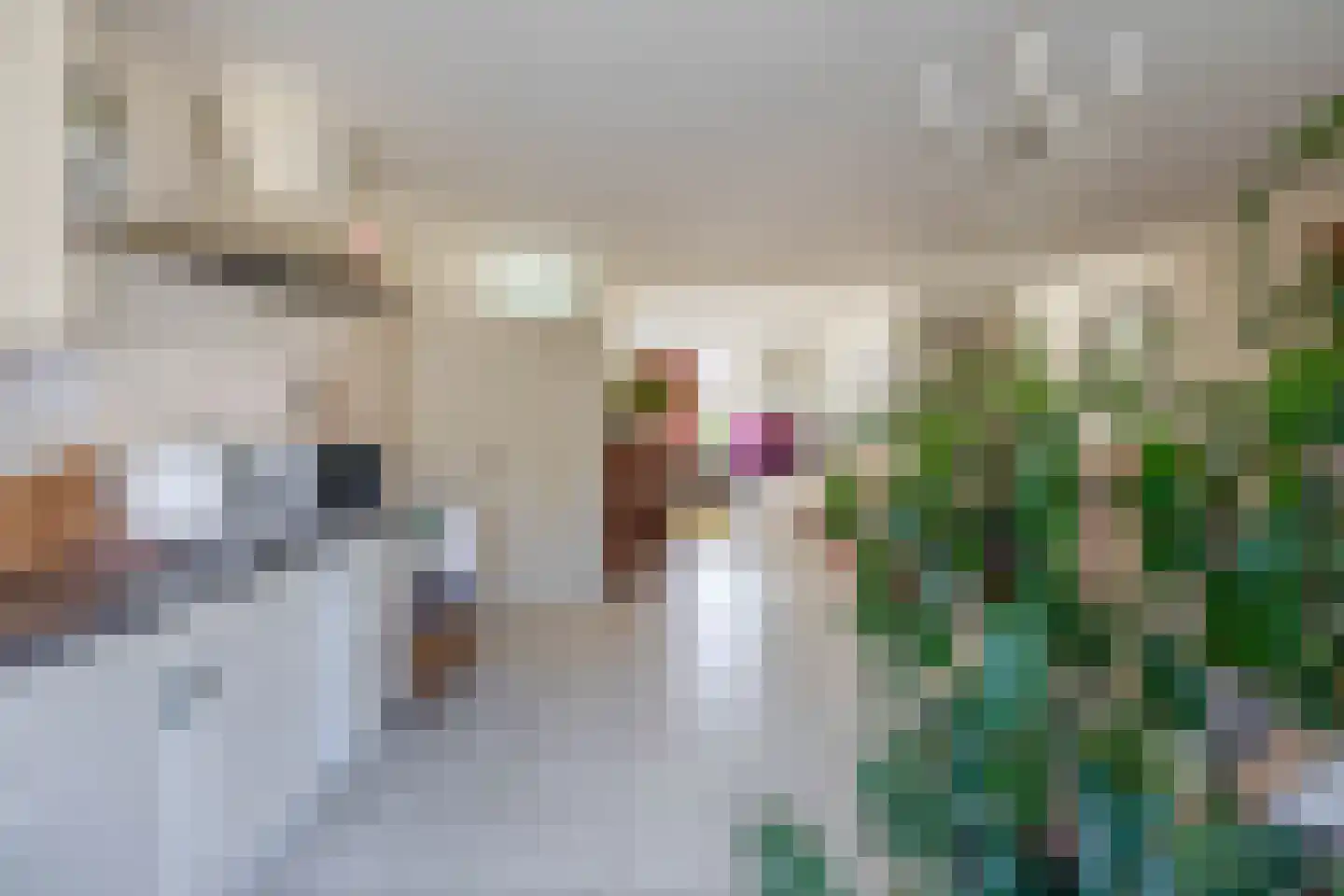 Marietjespad 17 Middelharnis thumbnail 9