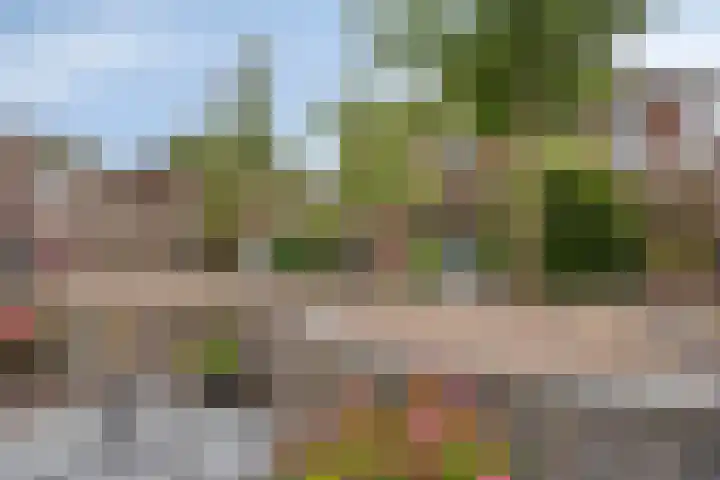 Marietjespad 18 Middelharnis thumbnail 22