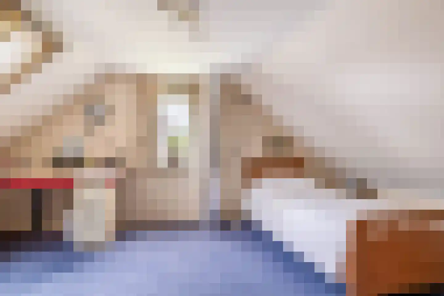 Marietjespad 18 Middelharnis thumbnail 23
