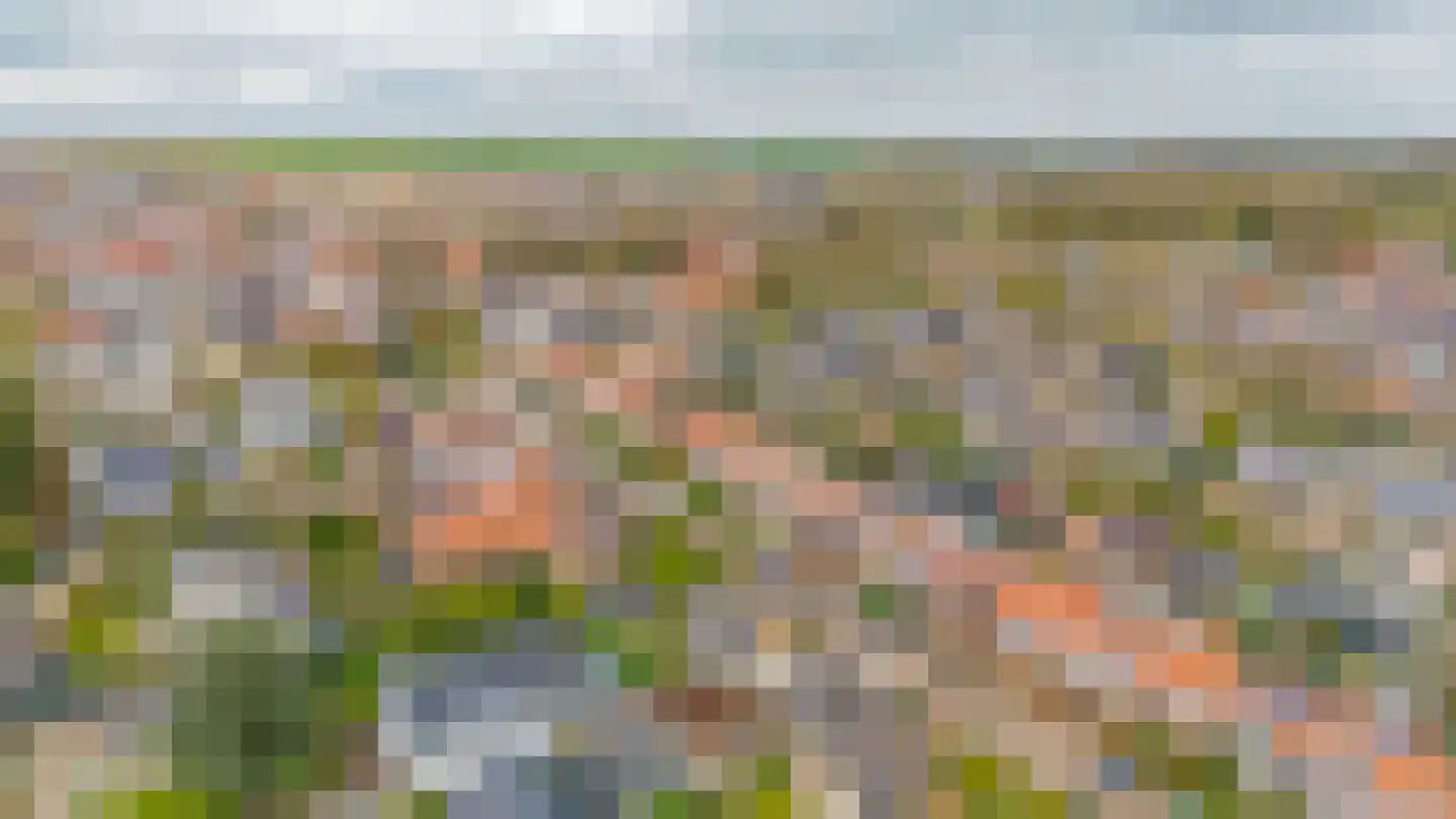 Marietjespad 18 Middelharnis thumbnail 36