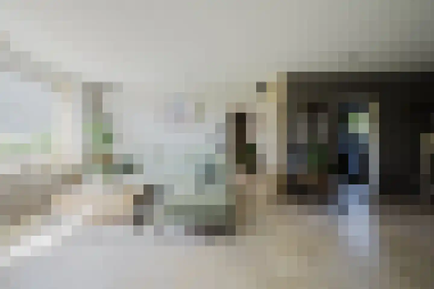Marietjespad 18 Middelharnis thumbnail 5