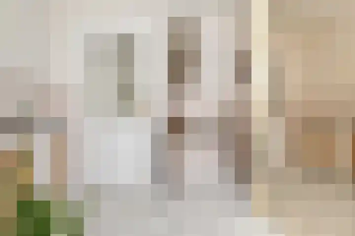 Marietjespad 26 Middelharnis thumbnail 15