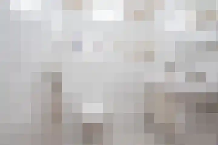 Marietjespad 26 Middelharnis thumbnail 17