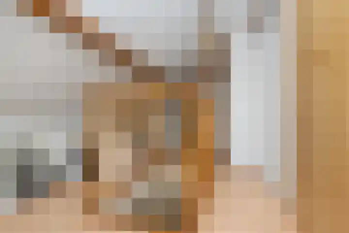 Marietjespad 26 Middelharnis thumbnail 27