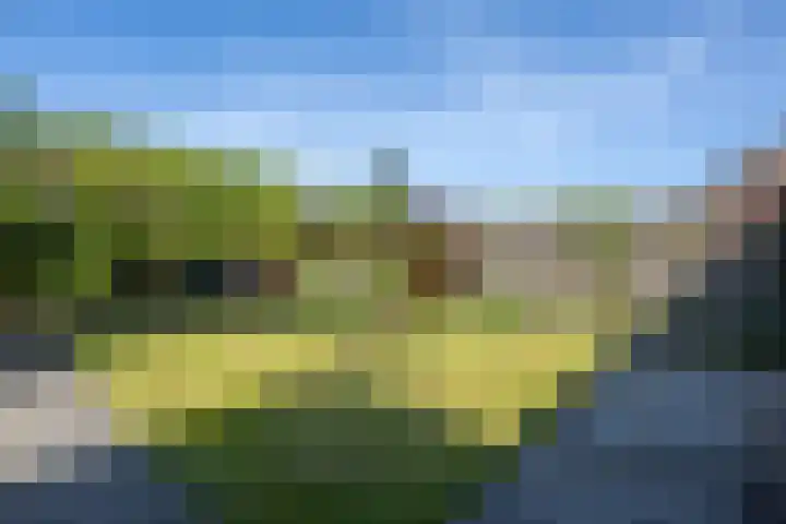 Marietjespad 26 Middelharnis thumbnail 37