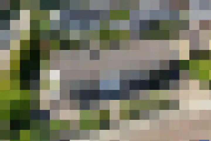 Marietjespad 26 Middelharnis thumbnail 41