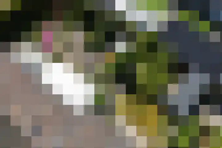 Marietjespad 26 Middelharnis thumbnail 42