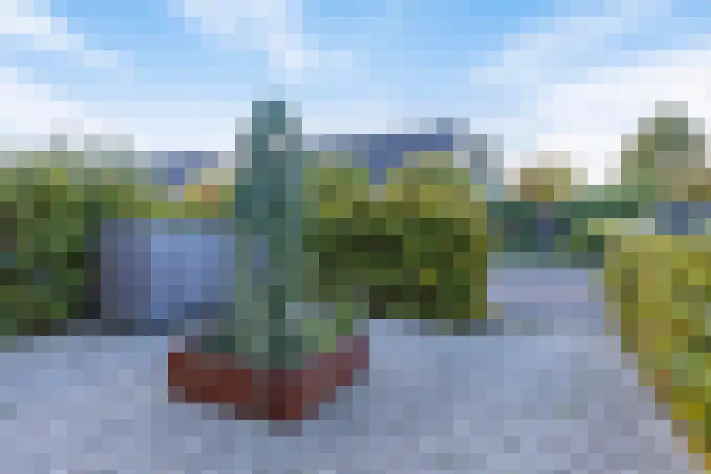 Marietjespad 33 Middelharnis thumbnail 8