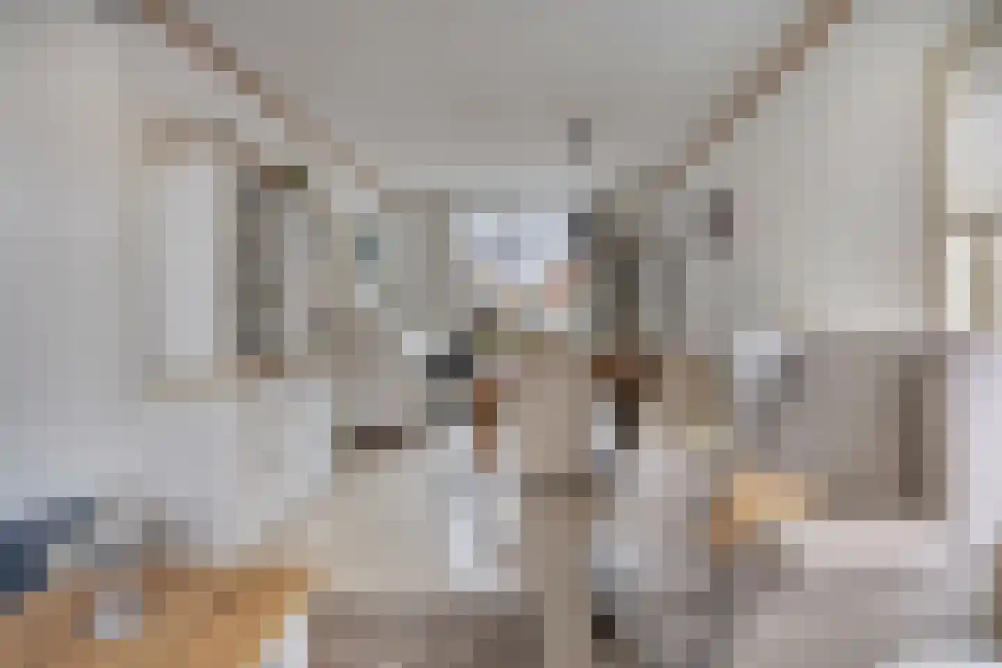 Marietjespad 4 Middelharnis thumbnail 10