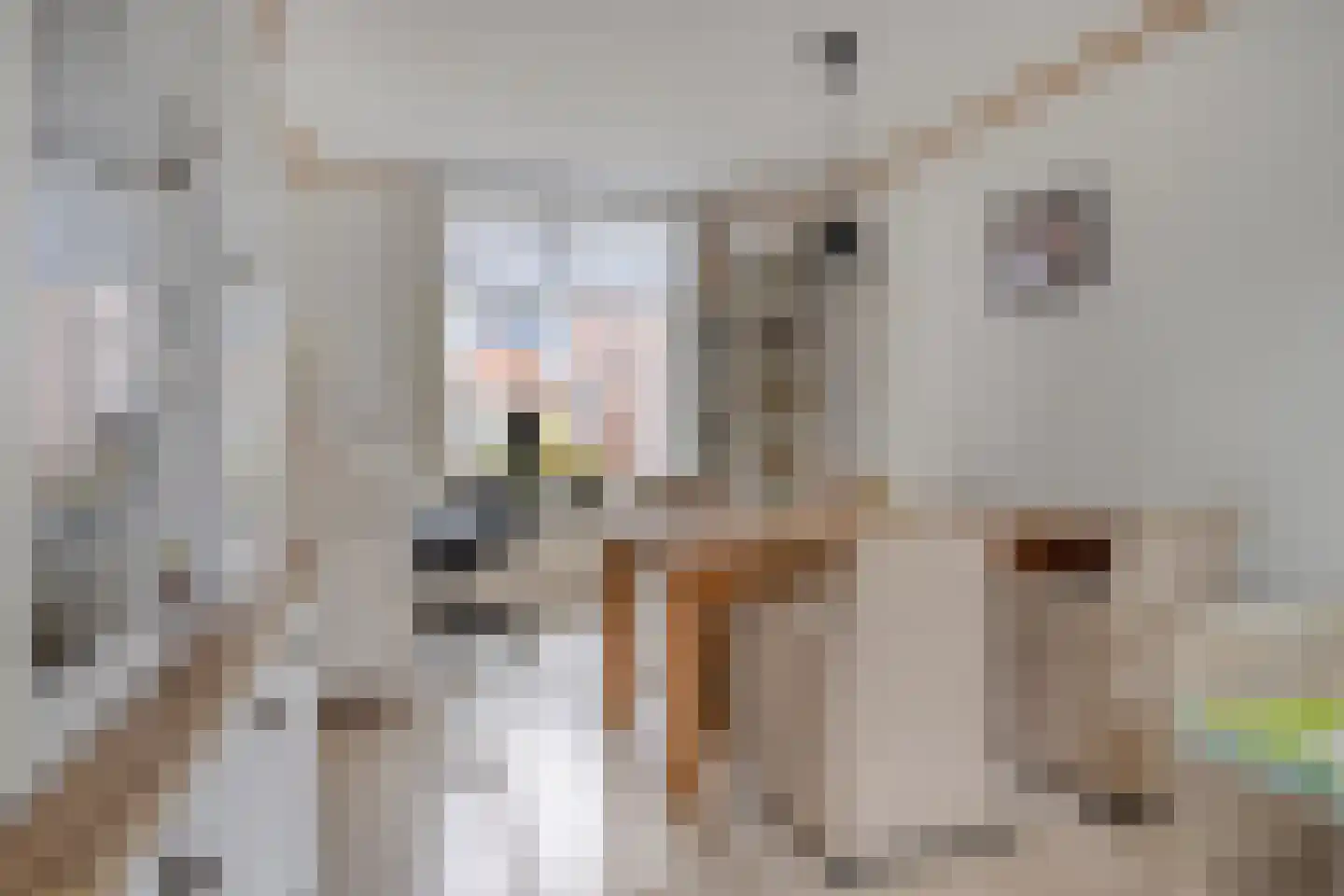 Marietjespad 4 Middelharnis thumbnail 11