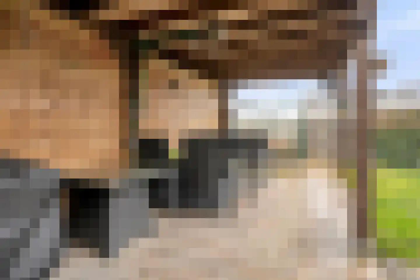Marietjespad 4 Middelharnis thumbnail 38