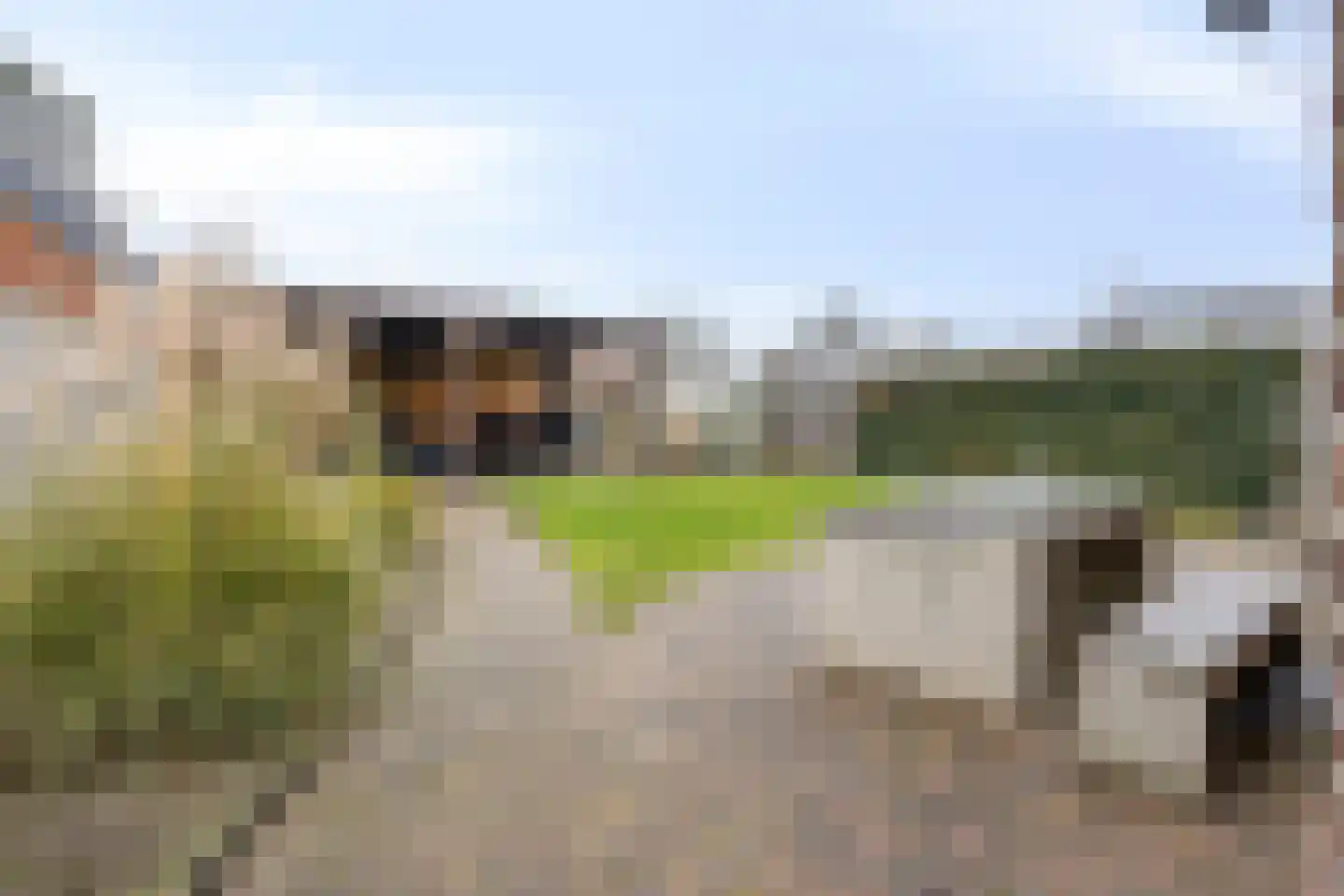 Marietjespad 4 Middelharnis thumbnail 4