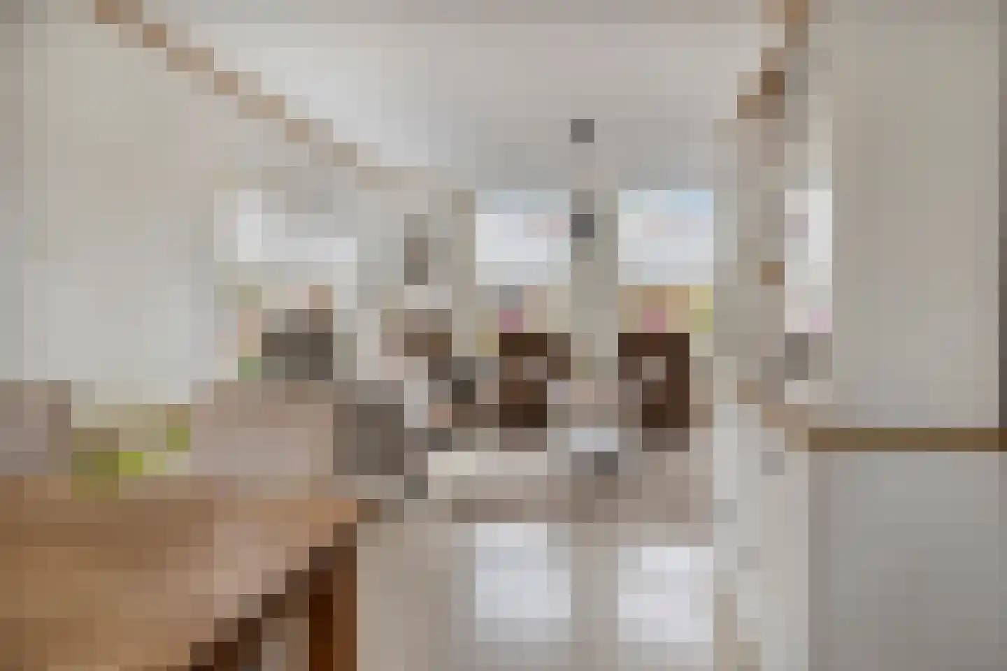 Marietjespad 4 Middelharnis thumbnail 8
