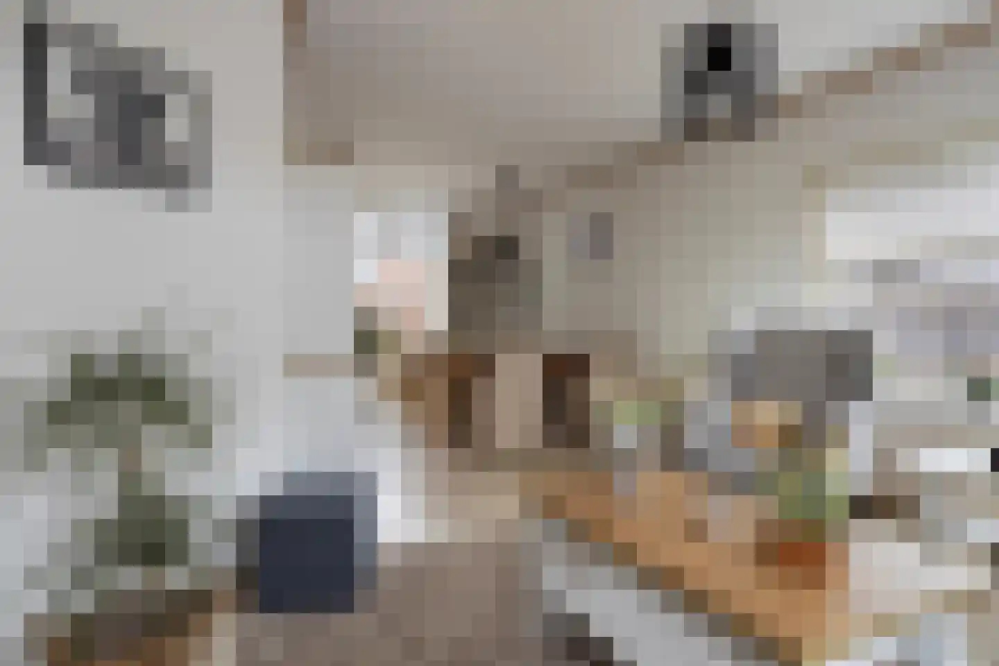 Marietjespad 4 Middelharnis thumbnail 9