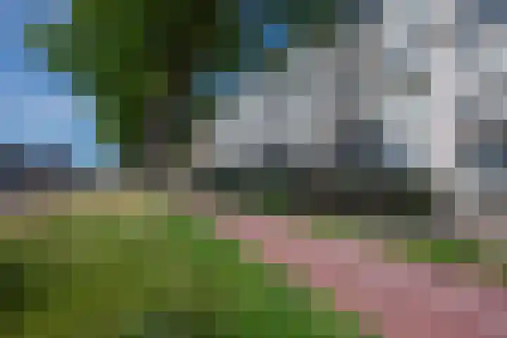 Mariëttahof 3 Haarlem thumbnail 7