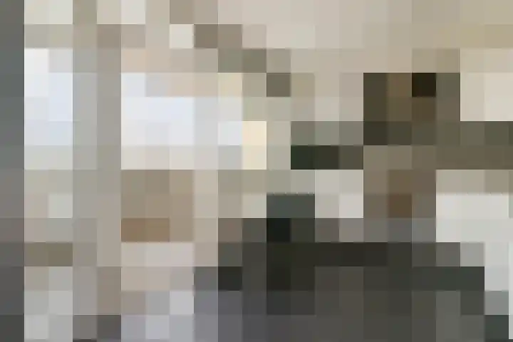 Mariëttahof 73 Haarlem thumbnail 7