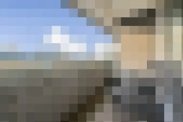 Mariëttahof 73 Haarlem thumbnail 8