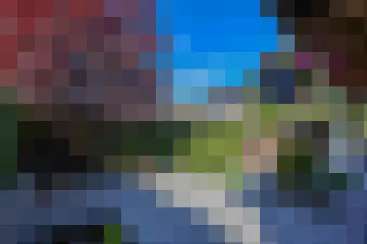 Marifoon 16 Almere thumbnail 25