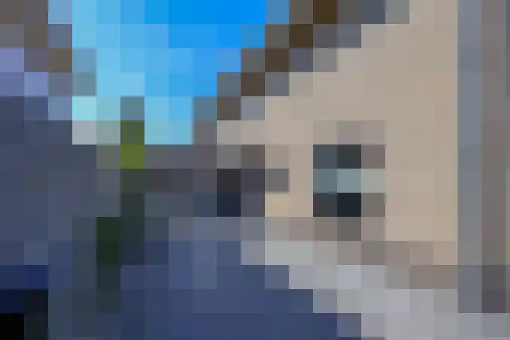 Marifoon 16 Almere thumbnail 41