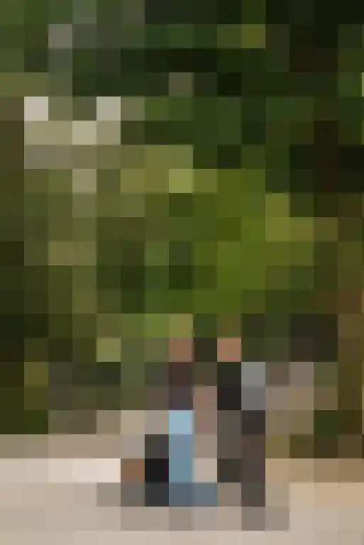 Marifoon 16 Almere thumbnail 43