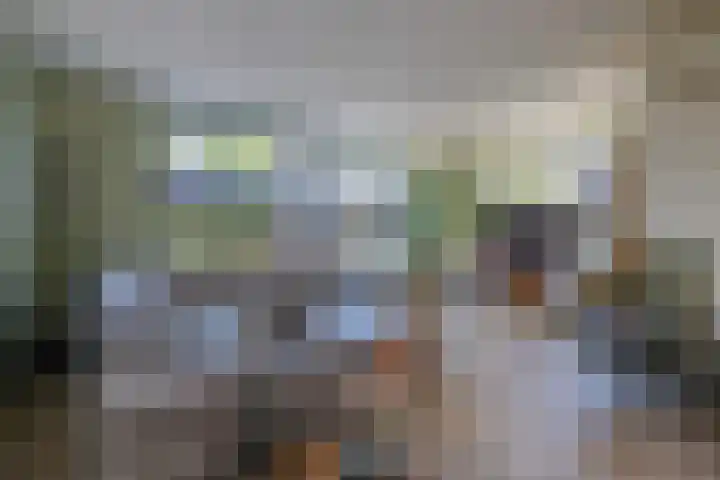 Marifoon 16 Almere thumbnail 5