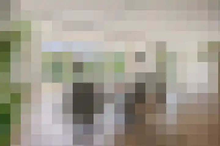 Marifoon 6 Almere thumbnail 10