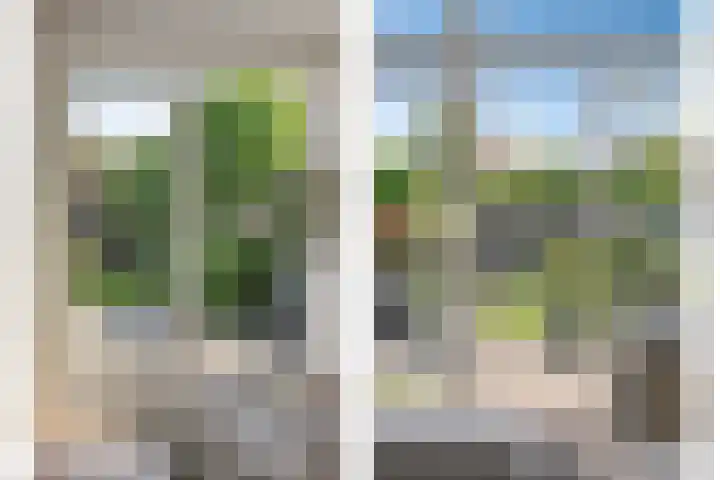 Marifoon 6 Almere thumbnail 13
