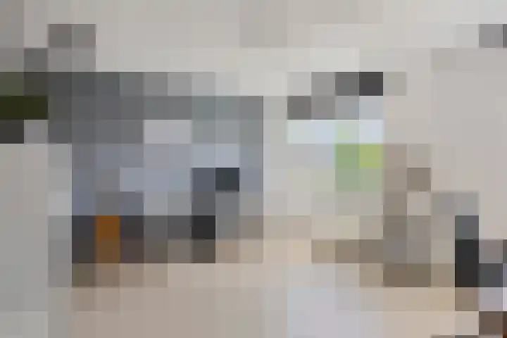 Marifoon 6 Almere thumbnail 21