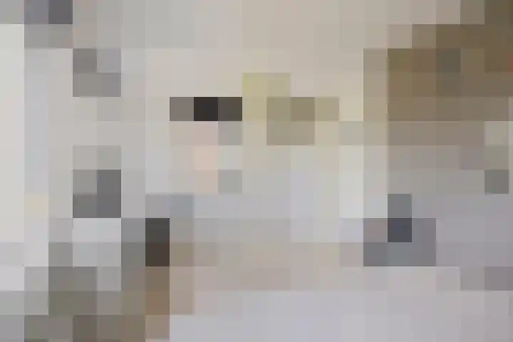 Marifoon 6 Almere thumbnail 26