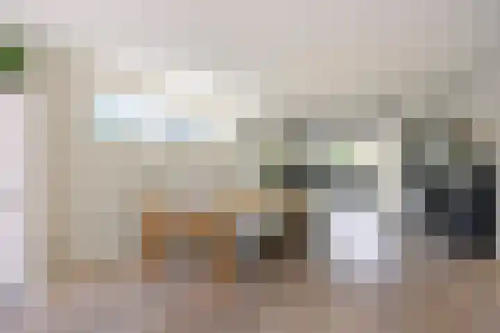 Marifoon 6 Almere thumbnail 4
