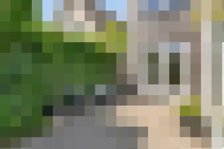 Marifoon 6 Almere thumbnail 44