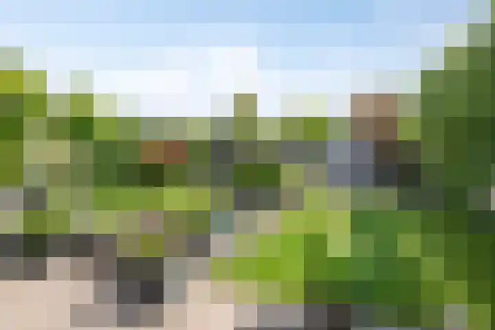 Marifoon 6 Almere thumbnail 45