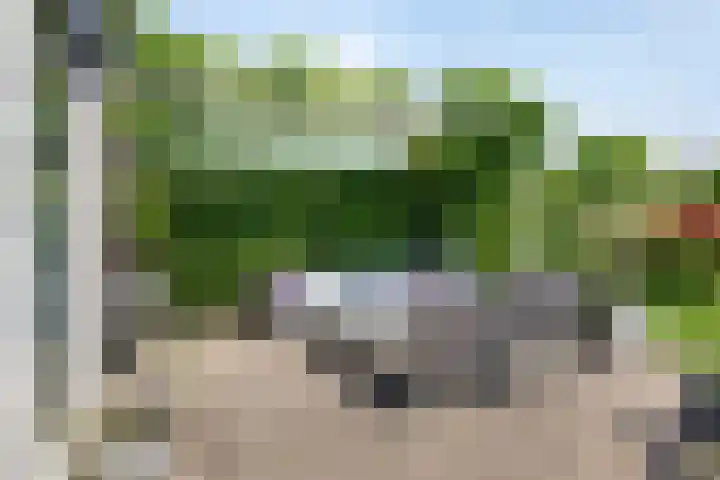 Marifoon 6 Almere thumbnail 46