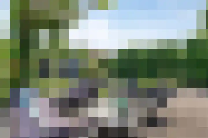 Marifoon 6 Almere thumbnail 47