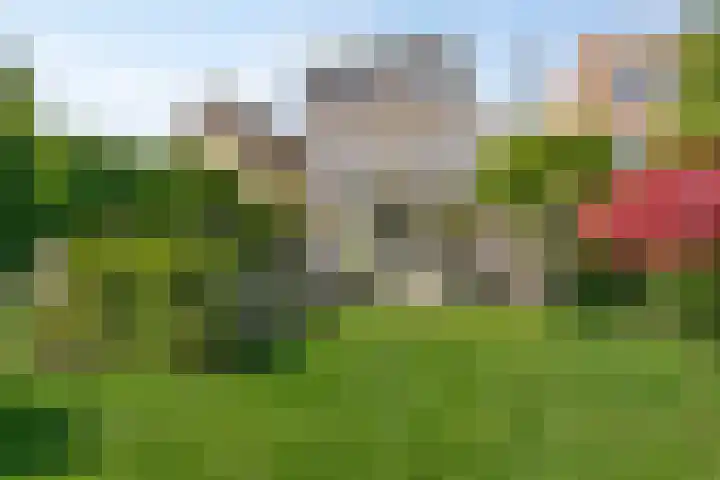 Marifoon 6 Almere thumbnail 48