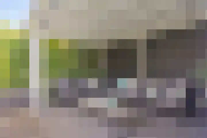 Marifoon 6 Almere thumbnail 49