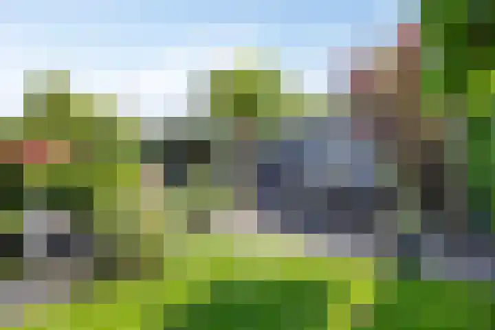 Marifoon 6 Almere thumbnail 52