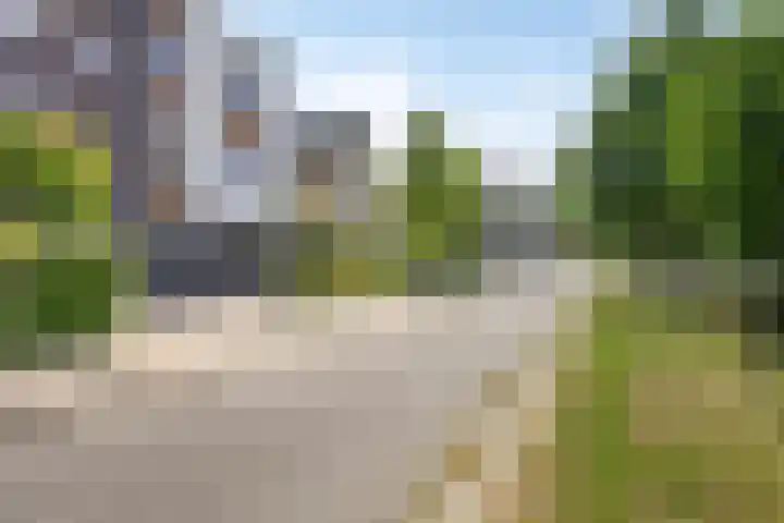 Marifoon 6 Almere thumbnail 58