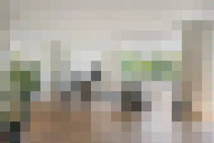 Marifoon 6 Almere thumbnail 8