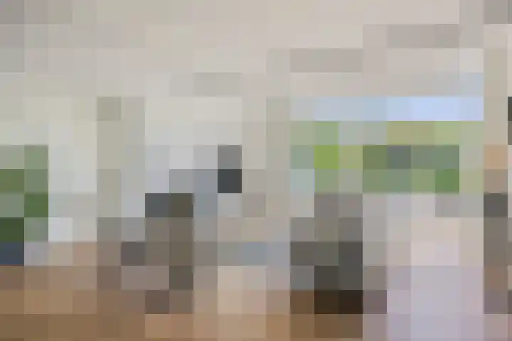 Marifoon 6 Almere thumbnail 9