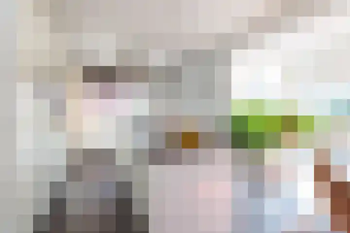 Marifoon 9 Almere thumbnail 21
