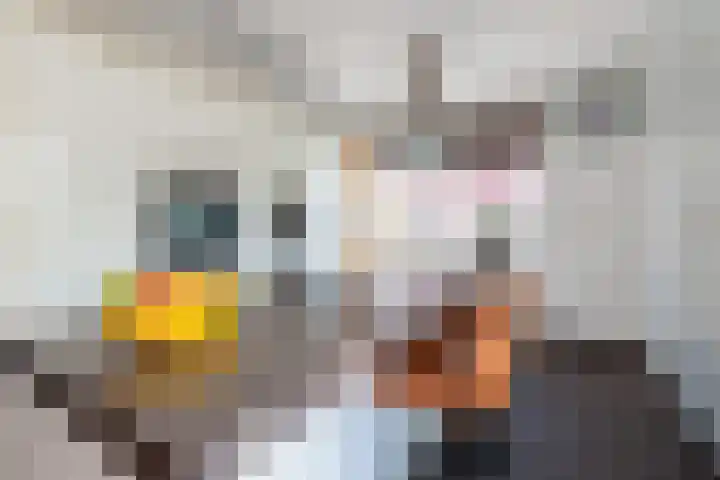 Marifoon 9 Almere thumbnail 24