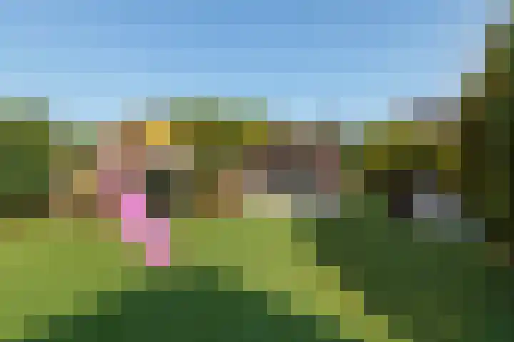 Marifoon 9 Almere thumbnail 49